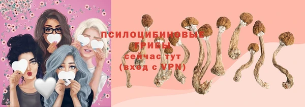 МДПВ Балабаново