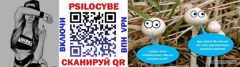 даркнет сайт  Свирск  Галлюциногенные грибы прущие грибы 