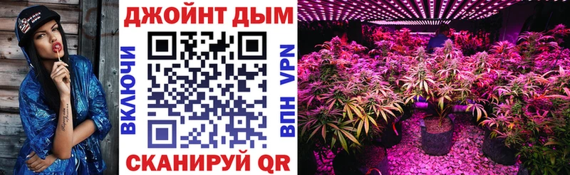 MEGA рабочий сайт  Свирск  Конопля гибрид 